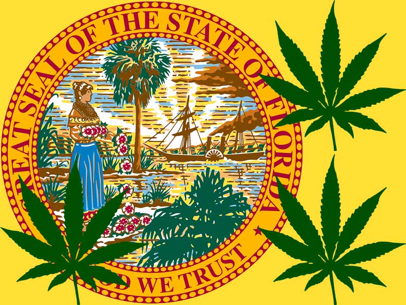 Florida state seal and marijuana leaves to illustrate getting a Florida medical marijuana card